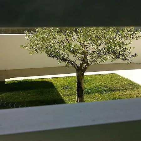 Villa Casa Patela *